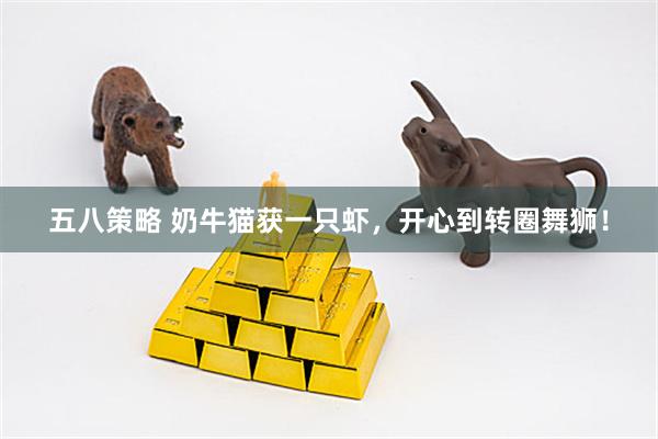 五八策略 奶牛猫获一只虾，开心到转圈舞狮！
