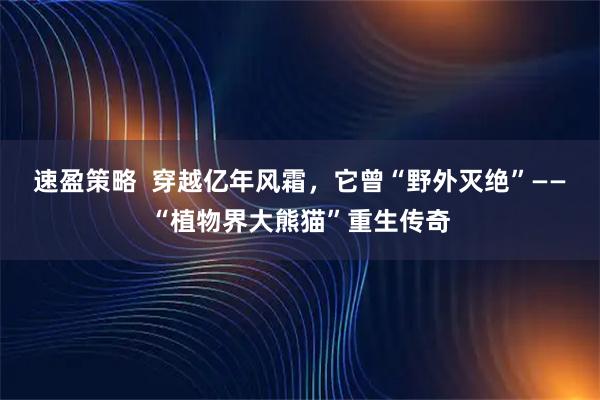 速盈策略  穿越亿年风霜，它曾“野外灭绝”——“植物界大熊猫”重生传奇
