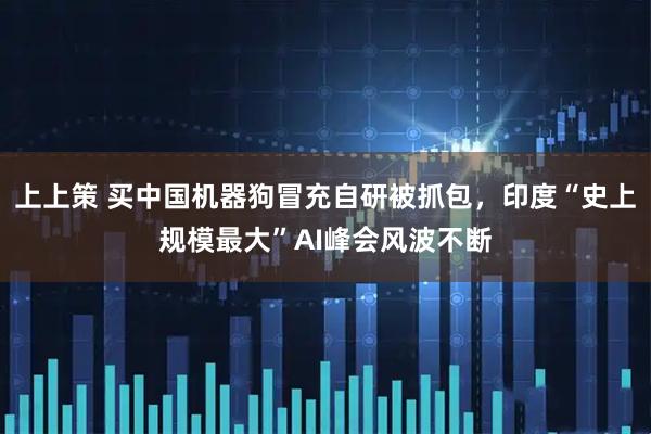上上策 买中国机器狗冒充自研被抓包，印度“史上规模最大”AI峰会风波不断