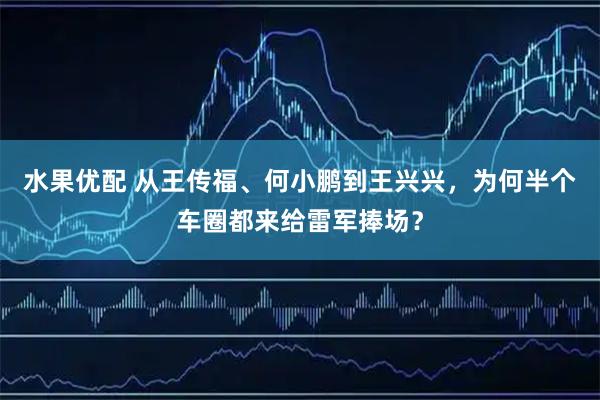 水果优配 从王传福、何小鹏到王兴兴，为何半个车圈都来给雷军捧场？