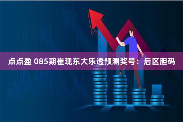 点点盈 085期崔现东大乐透预测奖号：后区胆码