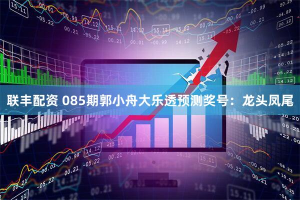 联丰配资 085期郭小舟大乐透预测奖号：龙头凤尾