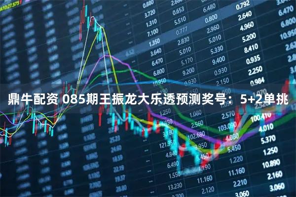 鼎牛配资 085期王振龙大乐透预测奖号：5+2单挑