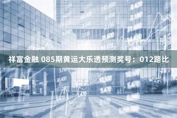 祥富金融 085期黄运大乐透预测奖号：012路比